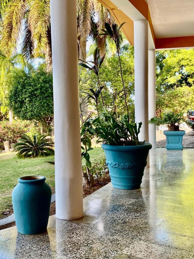 The Blue Orchid B&B Montego Bay Exterior foto