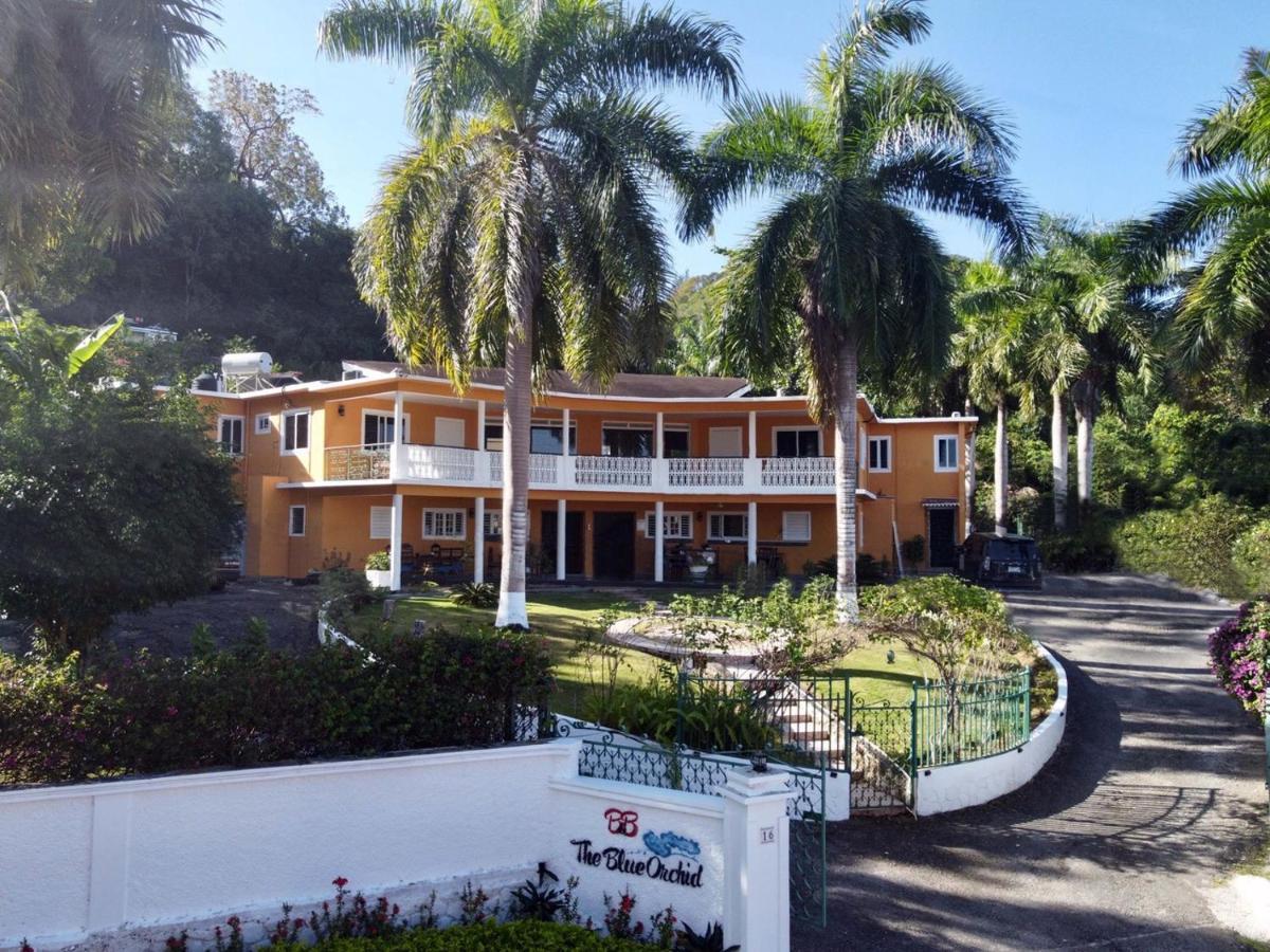 The Blue Orchid B&B Montego Bay Exterior foto