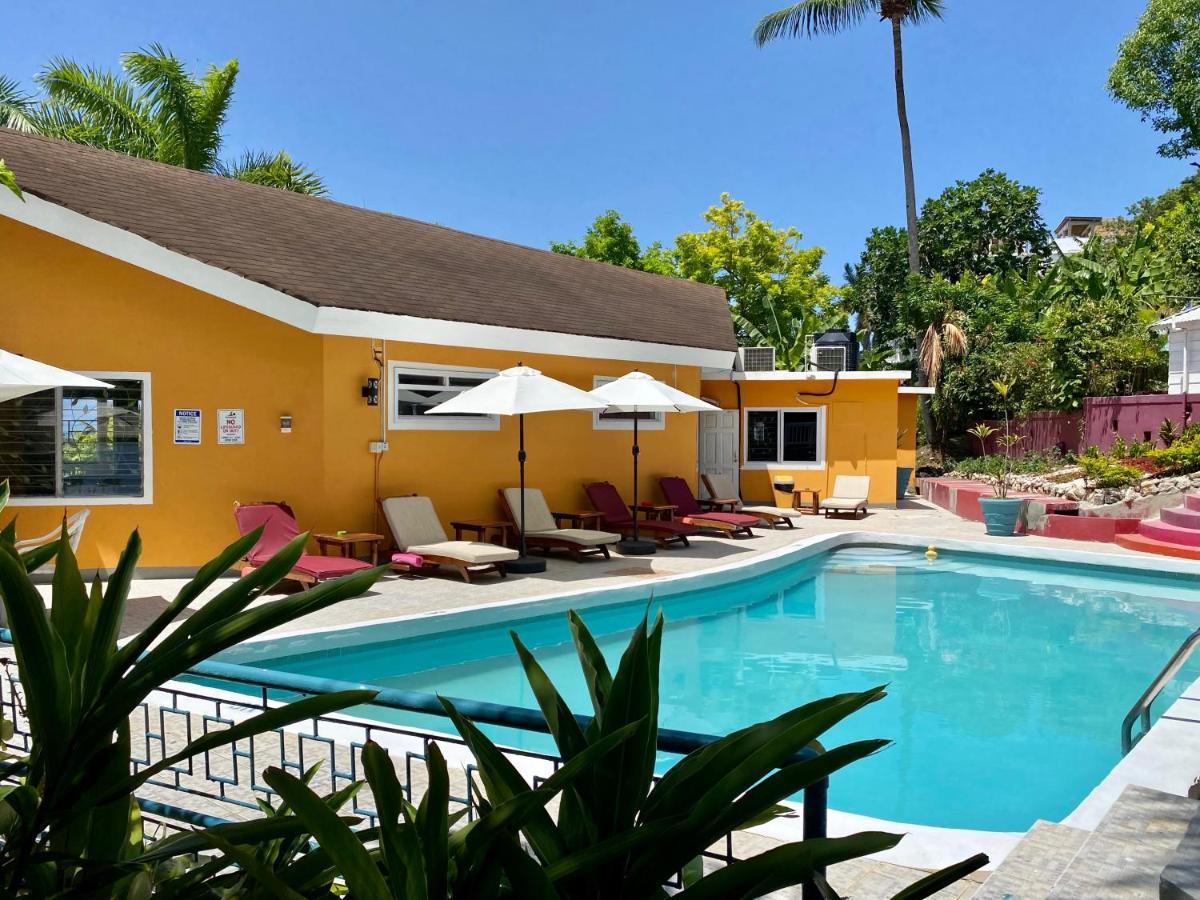 The Blue Orchid B&B Montego Bay Exterior foto